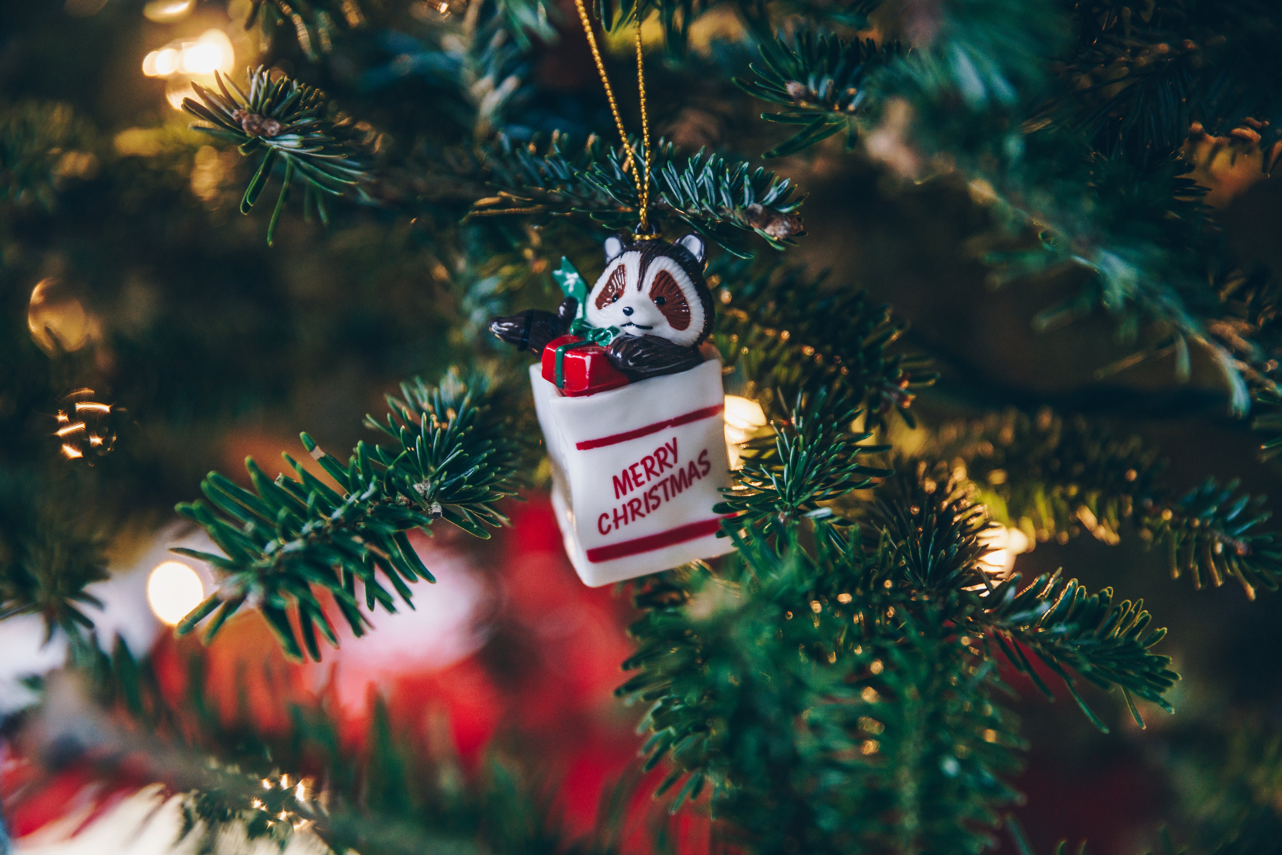 merry-christmas-ornament-on-tree.jpg
